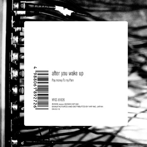 在线观看亚洲AV无码专区
