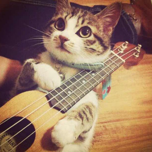 在线观看亚洲AV无码专区
